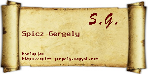 Spicz Gergely névjegykártya